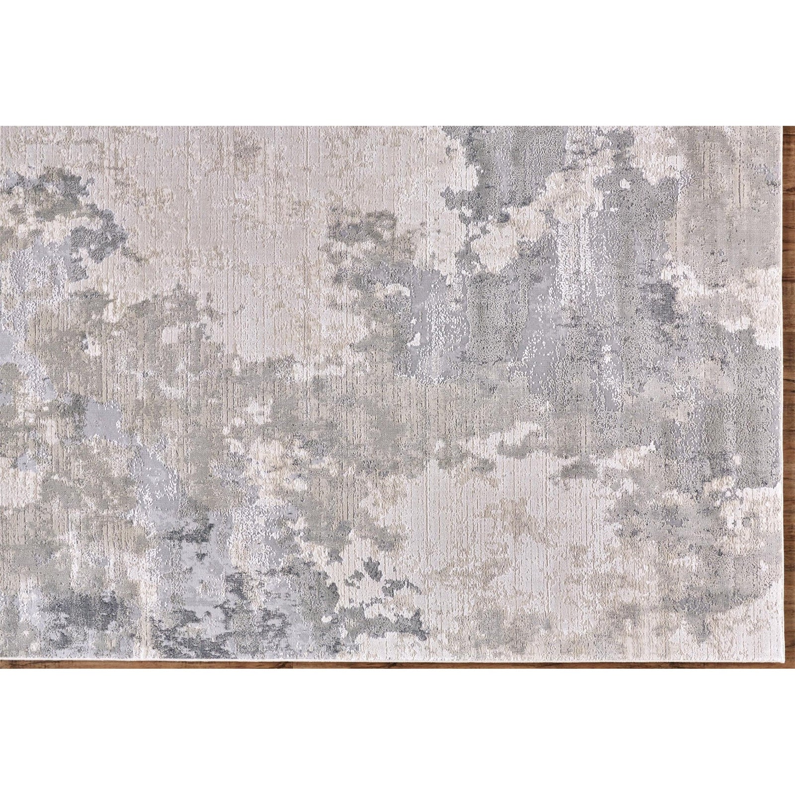 Feizy Prasad 3970F Rug in Gray