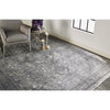 Feizy Sarrant 3967F Rug in Charcoal