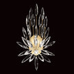 Fine Art Lily Buds 22