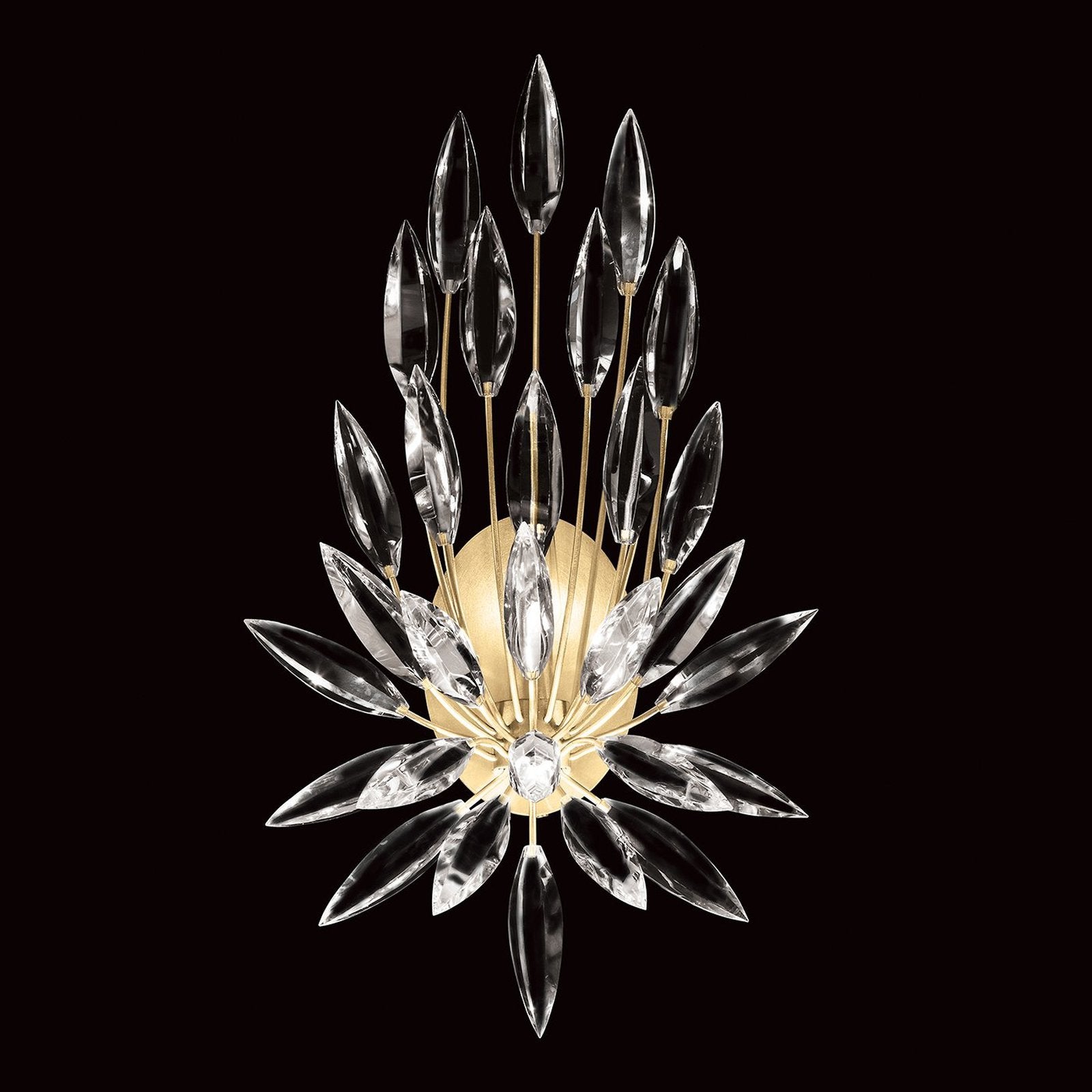 Fine Art Lily Buds 22