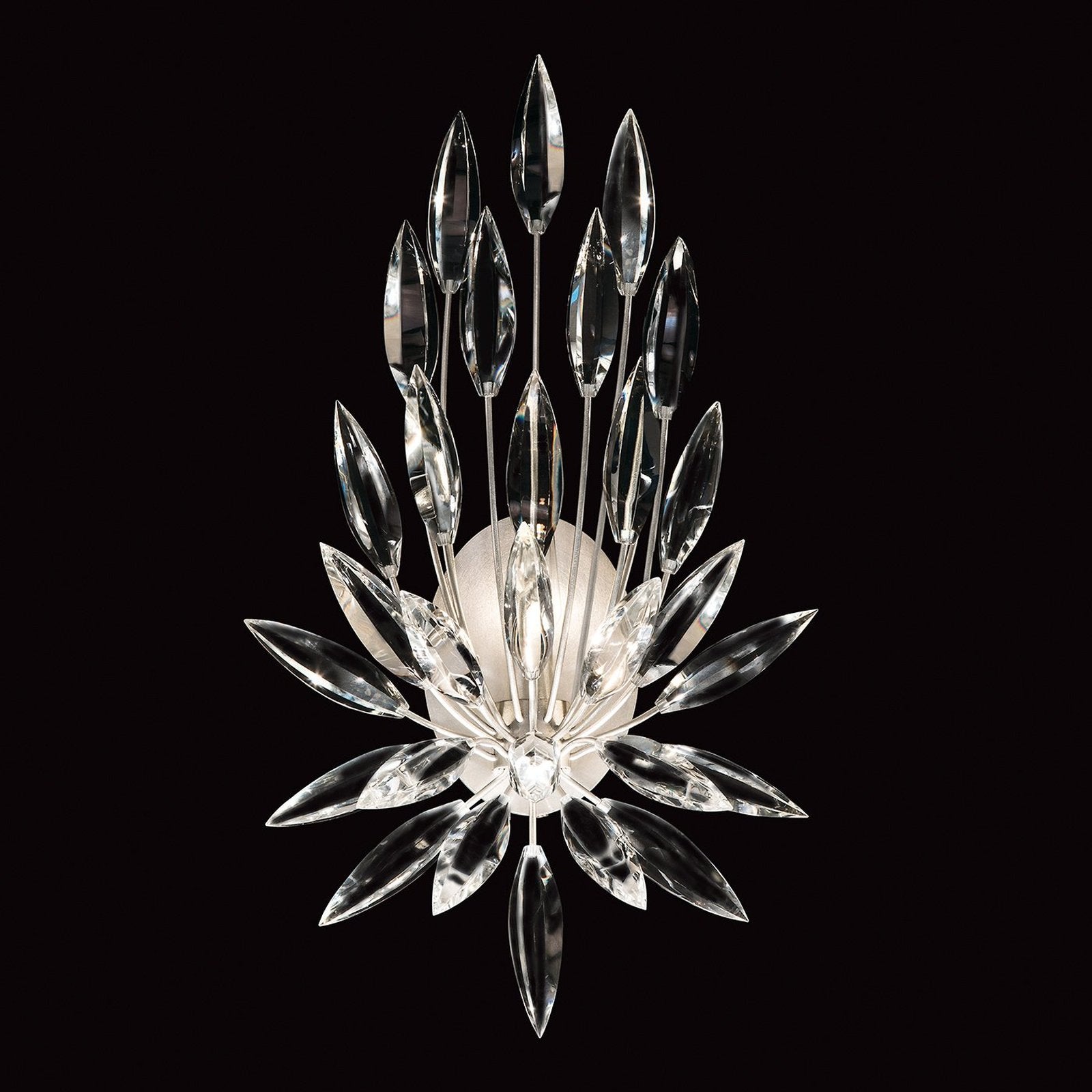 Fine Art Lily Buds 22