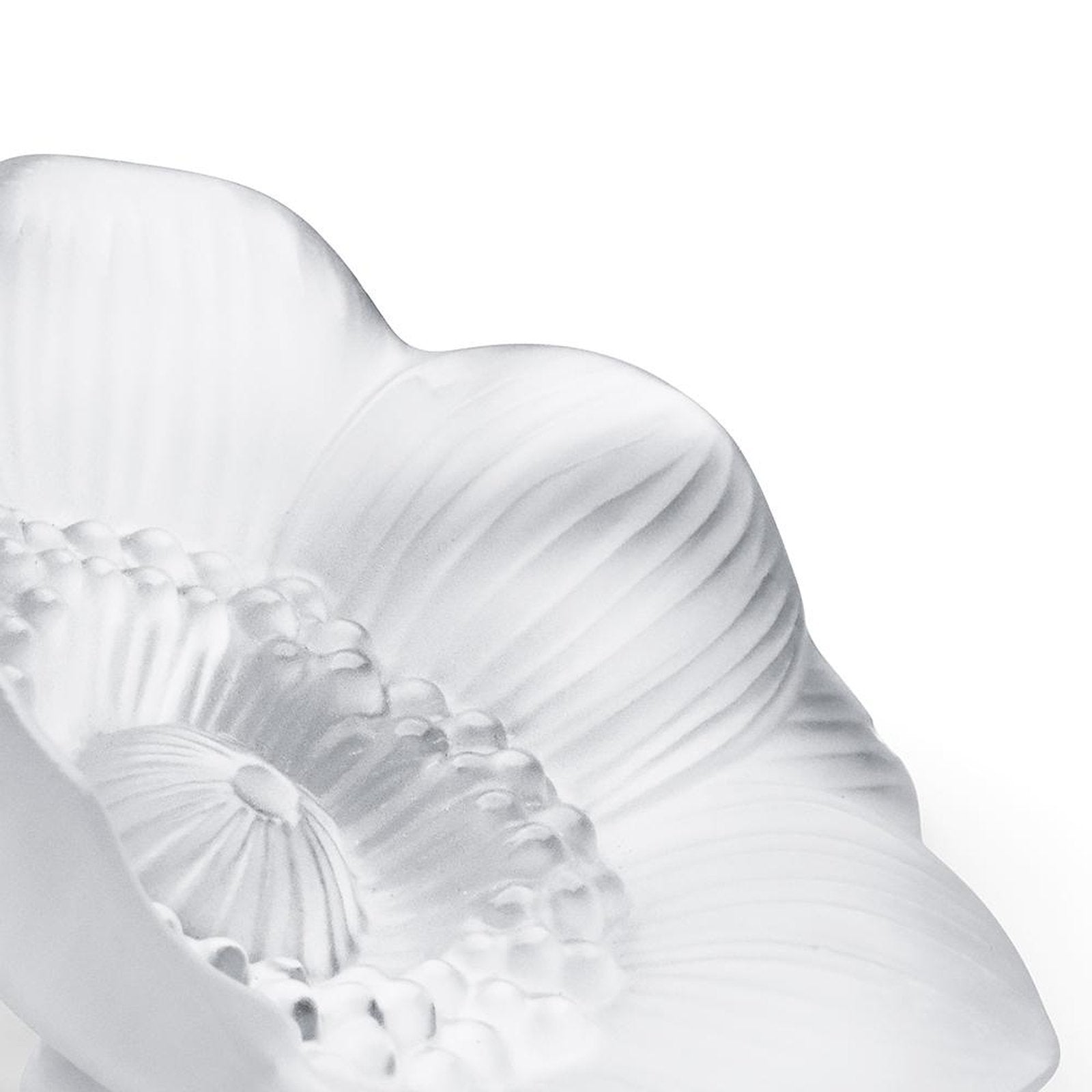 Lalique Anemone Small Sculpture