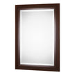 Modern Accents Dark Bamboo Mirror