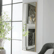 Modern Accents Thin Rectangular Mirror