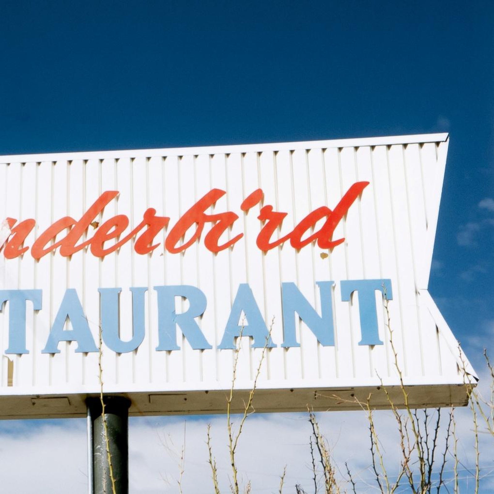 Thunderbird Marfa by Riley Ryan-Wood