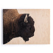 American Bison-Maple Box 60