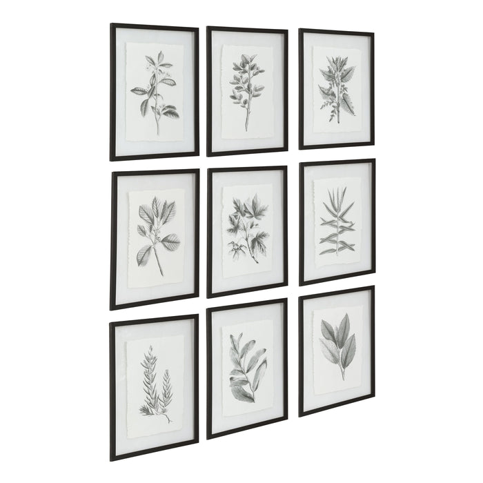 https://www.graysonliving.com/cdn/shop/products/Uttermost-Farmhouse-Florals-Framed-Prints-Set-of-9-41617-2_700x700.jpg?v=1645233040