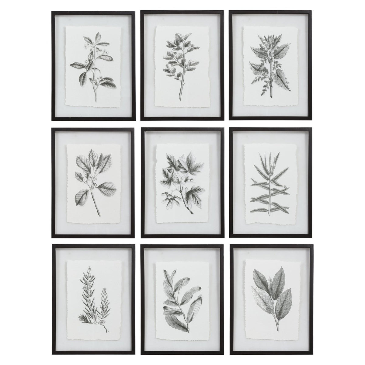 https://www.graysonliving.com/cdn/shop/products/Uttermost-Farmhouse-Florals-Framed-Prints-Set-of-9-41617_1200x1200.jpg?v=1634600883