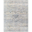 Surya Amore AMO-2309 Rug