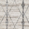 Surya Birch BHC-2302 Rug