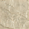 Caracole Signature Metropolitan Uptown Tall Cabinet
