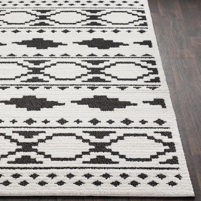 Surya Moroccan Shag MCS-2305 Rug