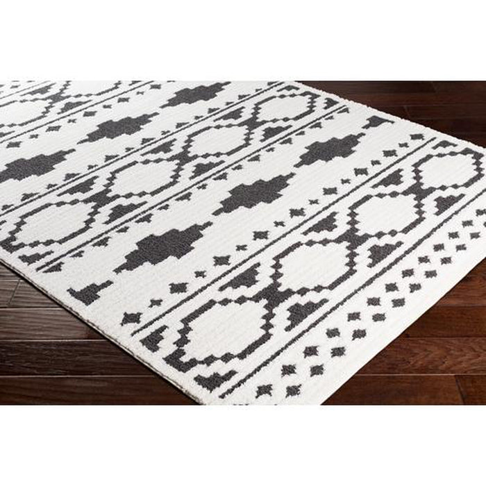 Surya Moroccan Shag MCS-2305 Rug