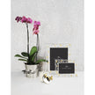 Michael Aram Butterfly Ginkgo Luxe Frame