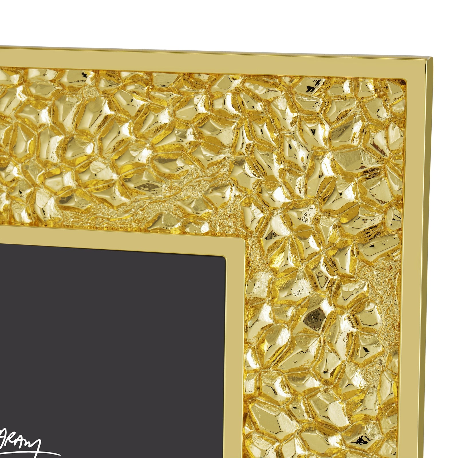 Michael Aram Pomegranate Frame