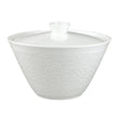 Raynaud Mineral Sablé Soup Tureen